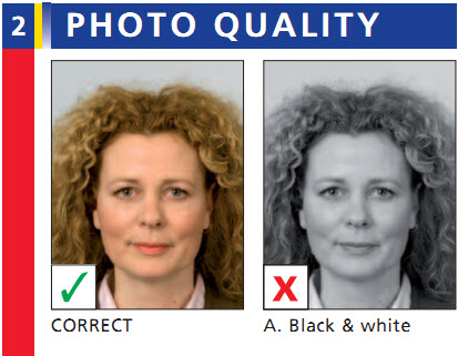 dutch passport photo sample