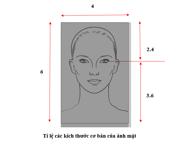 Vietnam Visa sample passport photo